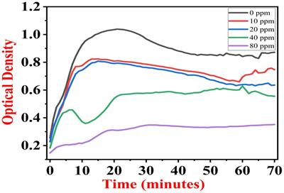 Tomato seed bio-priming with Pseudomonas aeruginosa strain PAR: a study on plant growth parameters under sodium fluoride stress